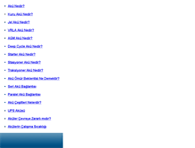 Tablet Screenshot of akunedir.com